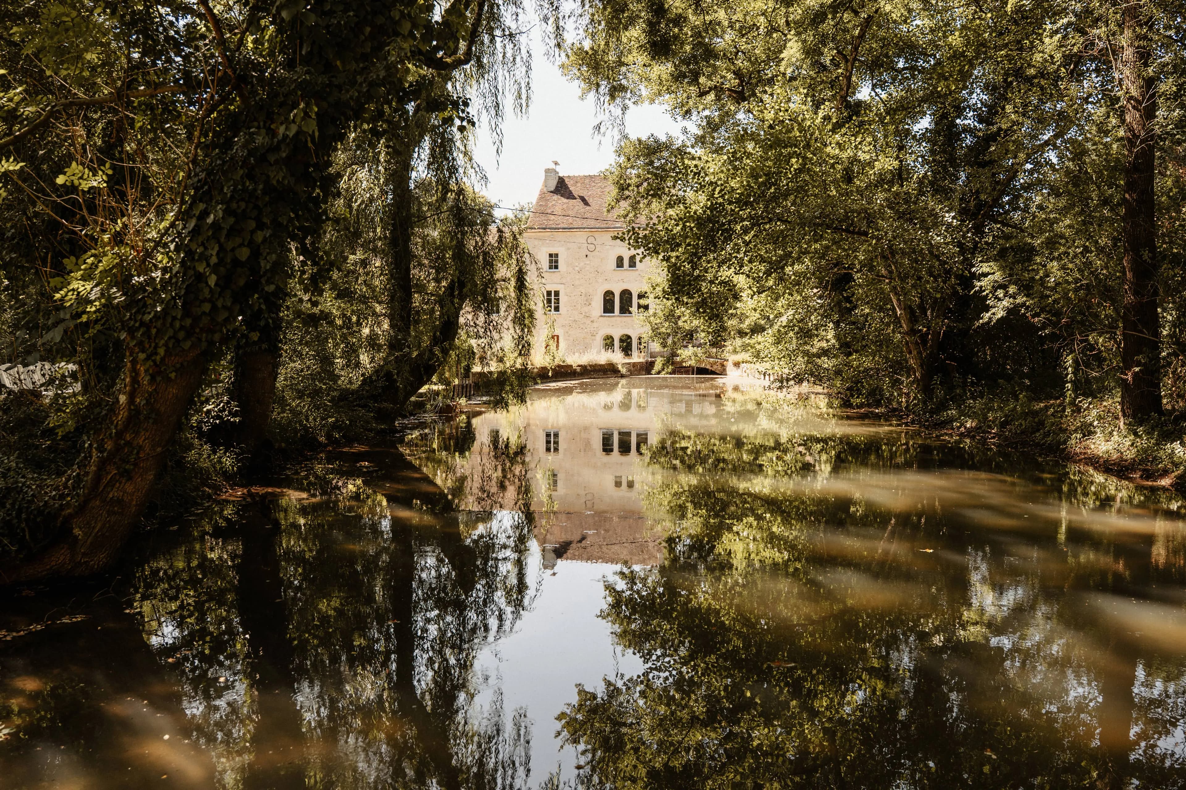 Scrollytelling Animation